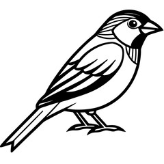 Sparrow Shape line art vector