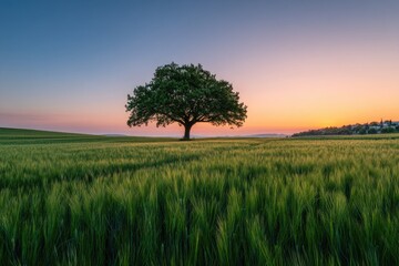 Solitary tree in vibrant green field at sunset, soft light paints the sky in pink and blue hues, gentle slope leading to distant horizon