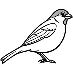 Sparrow Shape line art vector