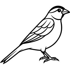 Sparrow Shape line art vector