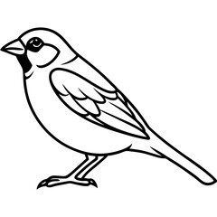 Sparrow Shape line art vector