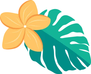 Fotobehang Aroma Yellow flower and teal-green monstera leaf are floating in flat design on transparent background  © vectorfusionart