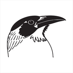 Blue-crowned Motmot &ndash; Exotic Forest Bird with Swinging Tail Feathers and Radiant Colors