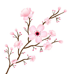 Flat design tree branch is displaying pink five-petal blossoms and buds on transparent background