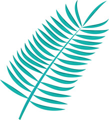 Stylized teal fern frond floating on transparent background, showing midrib and shaded leaflets