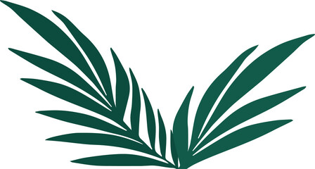 Pair of stylized dark green palm fronds are emerging in flat vector with transparent background