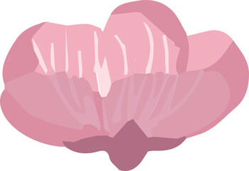 Stylized vector pink flower bloom is floating on transparent background, showing glossy petals