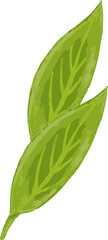 Two green leaves are overlapping in flat style, with vein pattern on transparent background