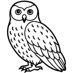 Snowy Owl Minimalist Line Art on White Canvas