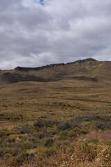 Stunning views of Lago Argentino, El Calafate, with mountain landscapes, vibrant flower macros, and foxes in Patagonia's pristine wilderness.