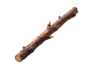 Single brown twig isolated on black background natural wood branch, Isolated On Transparent Background