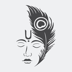 peacock feather vector