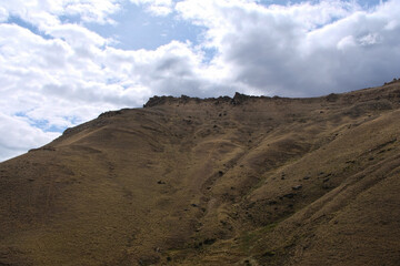 Stunning views of Lago Argentino, El Calafate, with mountain landscapes, vibrant flower macros, and foxes in Patagonia's pristine wilderness.