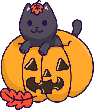 Fototapeta Flat design cartoon cat is peeking from jack-o-lantern with orange leaves on transparent background
