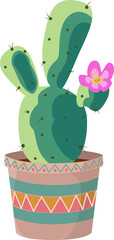Flat design is showing green cactus with pink flower in patterned pot, transparent background
