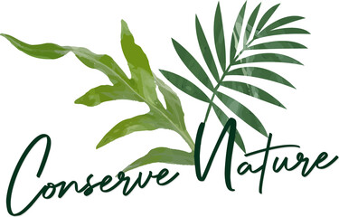 Flat vector art is showing painted leaves and cursive Conserve Nature text transparent background