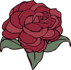 Red rose bloom is showing flat design with layered petals, green leaves on transparent background