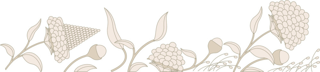 Flat floral border is featuring cream flowers leaves buds with curling stems transparent background