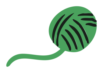 Flat design yarn ball is showing green sphere with black stitches, tail, transparent background