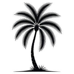 Obraz premium Flat Color Tropical Palm Tree Vector Art Design.