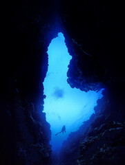 沖縄・石垣島海底をダイブする
