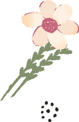Wildflower is being shown in flat style with pale pink petals, green stems, transparent background