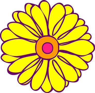 Fototapeta Flat flower is showing yellow petals, purple outlines, orange pink center on transparent background