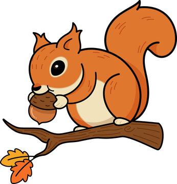 Fototapeta Flat design squirrel is holding acorn on branch with two fall leaves, transparent background