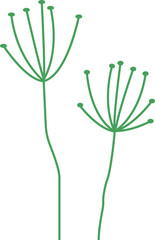 Two botanical silhouettes floating in line art on transparent background with green spoke clusters