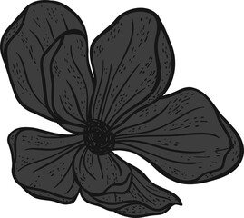 Hand-drawn flower illustration is showing veined dark gray petals on transparent background