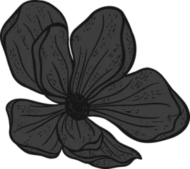 Fotobehang Hand-drawn flower illustration is showing veined dark gray petals on transparent background © vectorfusionart