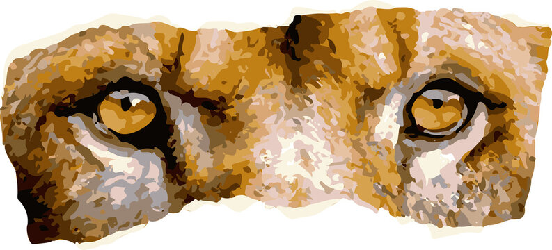 Fototapeta Close-up abstract feline eyes shining in layered gold with jagged edges on transparent background
