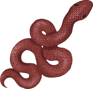 Flat vector red snake is coiling on transparent bg, raised dark-eyed head, scales, copy space