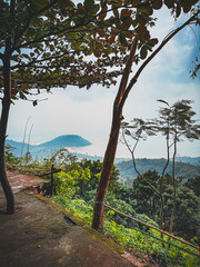 Scenic view of misty tropical hills through tall trees in the forest.