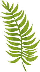 Stylized fern frond is being shown in flat vector design with transparent background