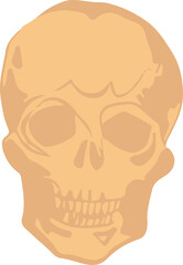 Flat design skull illustration is floating on transparent backdrop showing hollow eyes and contours
