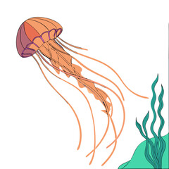 Graceful jellyfish floating in the ocean with seaweed 