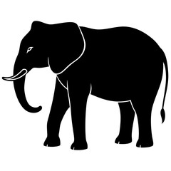 Fototapeta premium elephant vector illustration