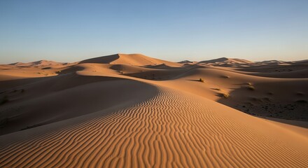 Desert Landscape: Sunlit Dunes and Ancient Ruins