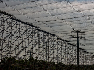 Hochspannungsmasten