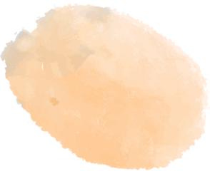 Abstract peach watercolor blotch is forming with transparent background, soft oval shape