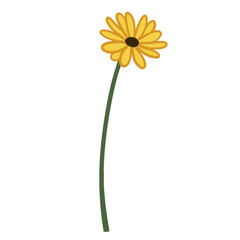 Stylized yellow daisy bloom is floating on transparent background with petals and curved stem
