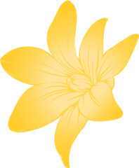 Flat design yellow flower is glowing with soft gradient and veined patterns on transparent backdrop