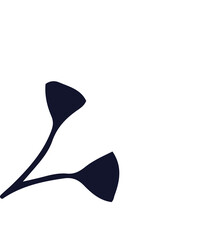 Two stylized white flowers are floating in flat style with split navy stems, transparent background