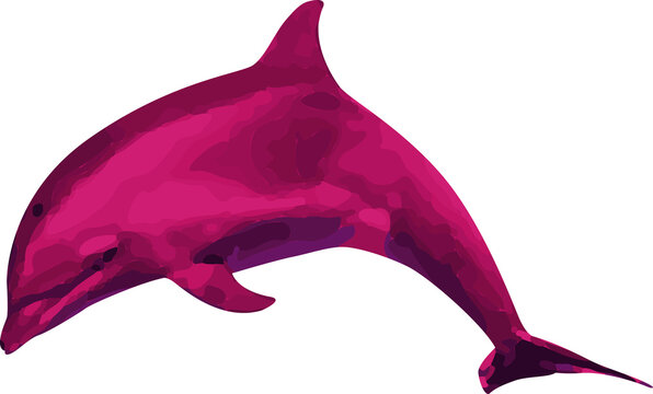 Stylized dolphin is swimming in flat design with magenta pink gradients, transparent background