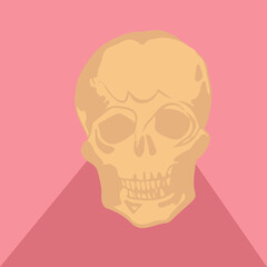 Presenting skull in flat design featuring yellow and pink triangle shadow on transparent backdrop