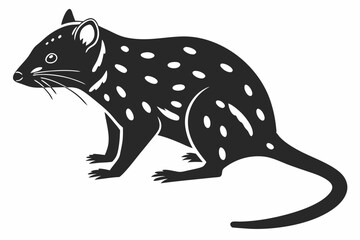 quoll sihouette black vector