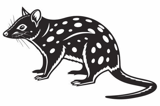 quoll sihouette black vector