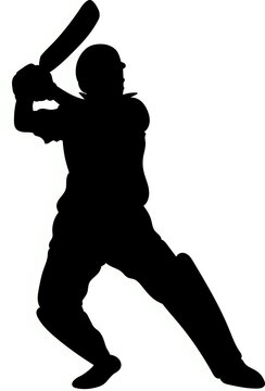 Fototapeta Cricket silhouette is raising bat in flat design showing helmet gloves leg pads on clear background