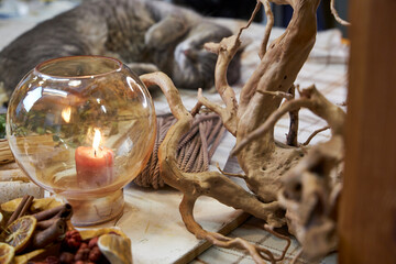 Cozy scene featuring a gray cat peacefully sleeping on a wooden table next to a burning handmade aromatherapy candle and dried flower wreath materials. Natural light highlights the soft textures of th